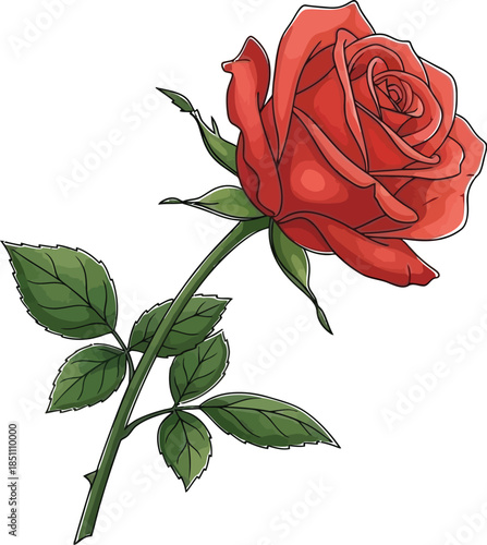 Hand drawn illustration of a single vibrant red rose with green leaves and thorns on a light background