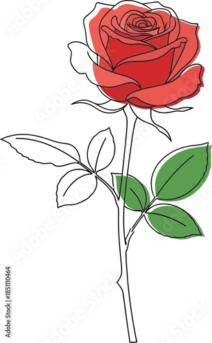 Minimalist single red rose illustration featuring continuous line art with selective color accent on leaves and bloom
