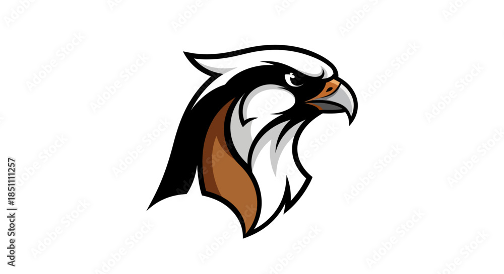 Obraz premium Adobe Illustrator Artwork