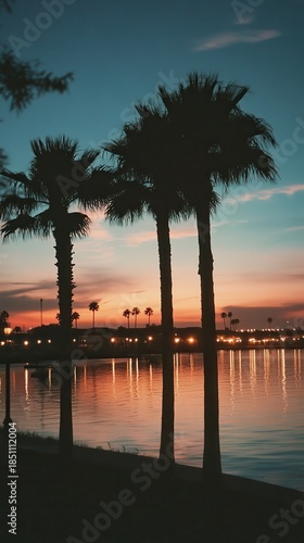 Serene Sunset Reflection Over Water with Silhouetted Palm Trees
