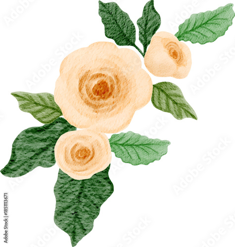 Watercolor peach roses arrangement illustration