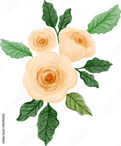 Watercolor peach roses arrangement illustration