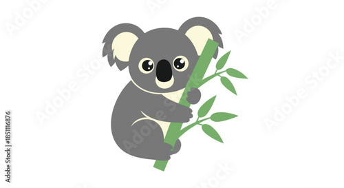 Photography Cartoon koala bear holding bamboo isolated on white background vector