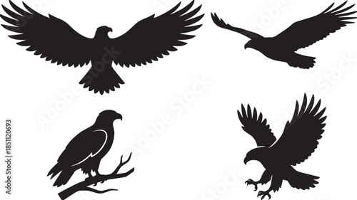 Eagle Silhouette Set in Flying and Perching Poses Isolated on White Background
