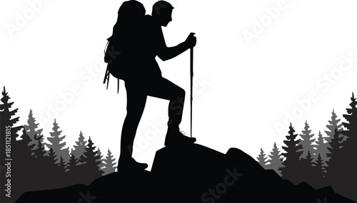 hiker standing on rock with backpack trekking pole and trees