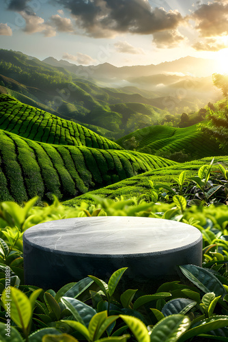 Empty stone podium in tea plantation landscape at sunrise, natural product display