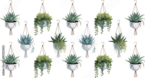 Vector illustration of various hanging succulents and houseplants in white pots and macrame hangers for modern home decor and urban jungle interiors.
