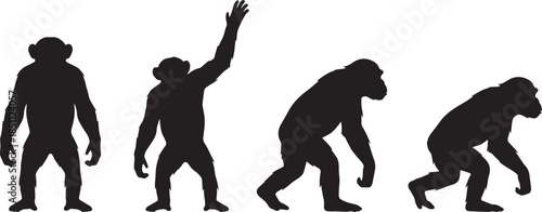 Chimpanzee Silhouette Set in Different Poses Isolated on White Background Illustration