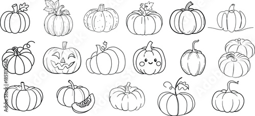 Collection of hand-drawn pumpkin outlines featuring various styles for autumn and halloween