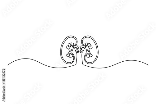 Single line sketch of human kidneys icon