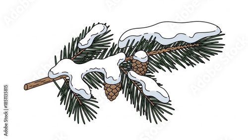 Snowy pine branch with cones, winter illustration, frosty evergreen tree limb, seasonal graphic element, icy needles, cold weather, botanical drawing, christmas