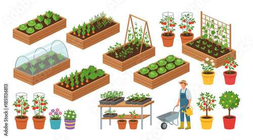Isometric home gardening with raised beds and plants