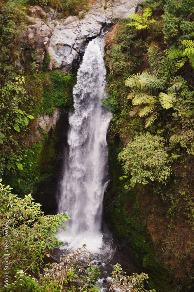 Fototapeta premium Waterfall in the mountain in Indonesia