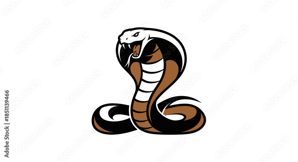 Fototapeta premium Adobe Illustrator Artwork