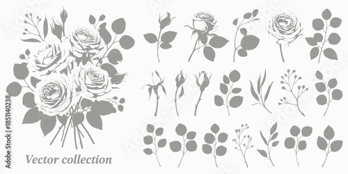 Floral Vector Elements in Minimalist Gray Scale with Delicate Lines and Soft Texture for Graphic Design