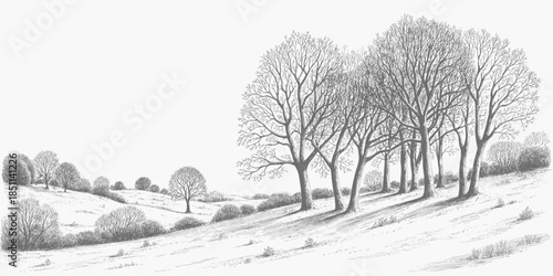 Trees in winter landscape with bare branches in monochrome illustration on white background for nature design