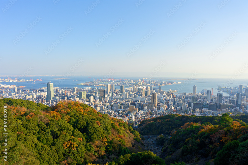 Fototapeta premium 市章山から見る神戸の街並み