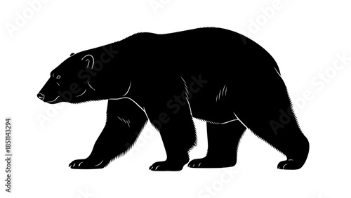 Black bear walking silhouette illustration isolated on white background.