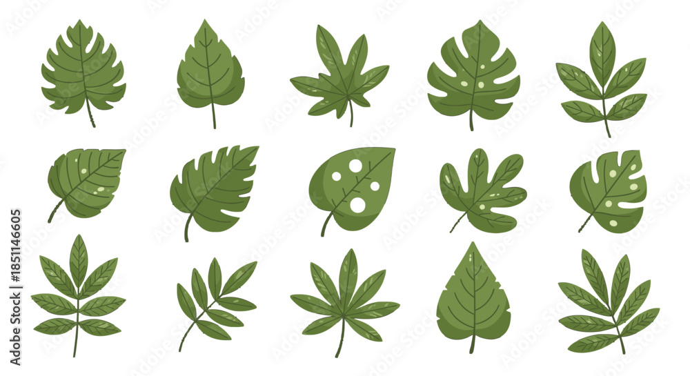 Obraz premium A collection of various green leaves with different shapes and textures, illustrating botanical diversity.