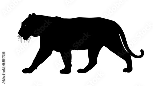 Black Panther Silhouette Walking Side View Isolated On White.