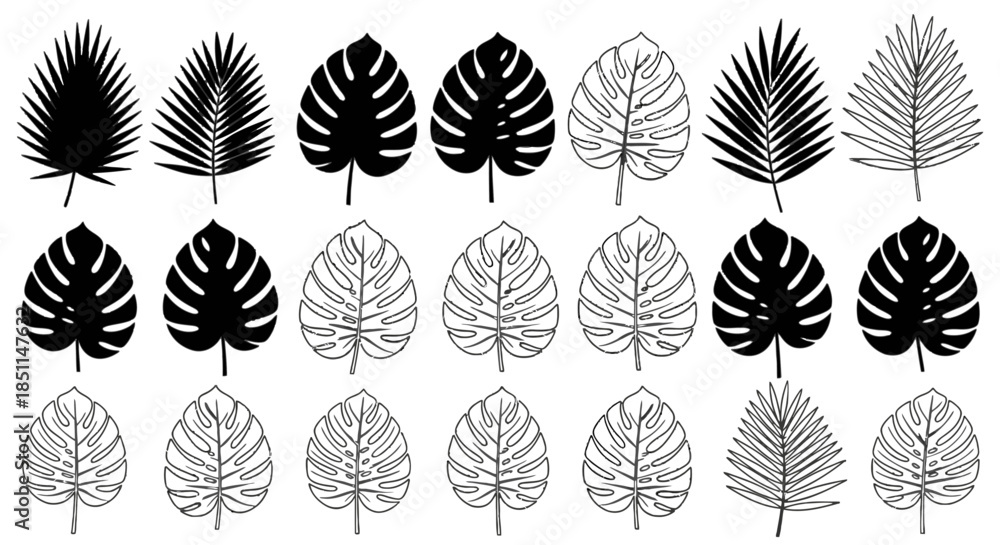 Fototapeta premium A collection of various tropical leaves in black silhouette and outline illustrations, featuring palm and monstera leaf designs.