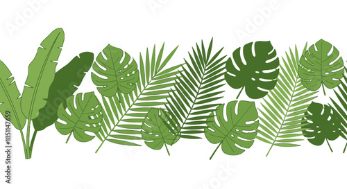 A vibrant horizontal border featuring an assortment of green tropical leaves like monstera, palm, and banana leaves on a white background.