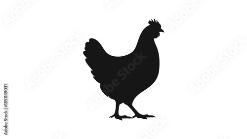 Black silhouette of a chicken standing on a white background.