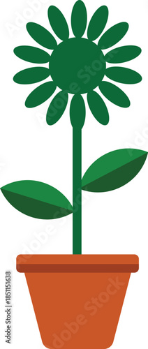 Green flower in terracotta pot