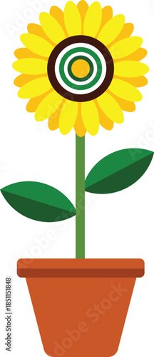 Sunflower in a terracotta pot