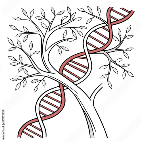 Dna helix tree