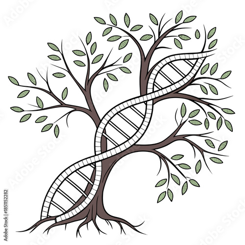 Dna tree of life