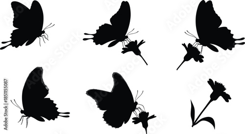 Butterfly silhouettes with flowers, black insect illustration, delicate wings design, nature art, wildlife study, floral interaction, pollination concept, decorative pattern, garden theme