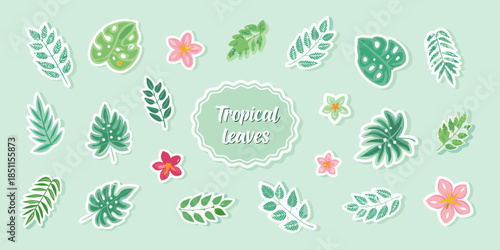 A collection of colorful tropical leaves and flowers on a mint background