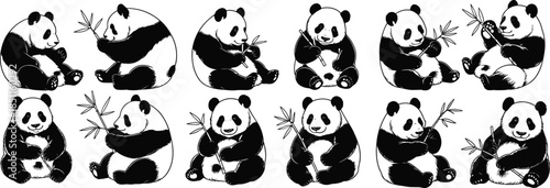 Cute panda illustration set, cartoon pandas eating bamboo, adorable animal vector collection, sitting bear designs, black and white wildlife drawings

 flat vector illustration