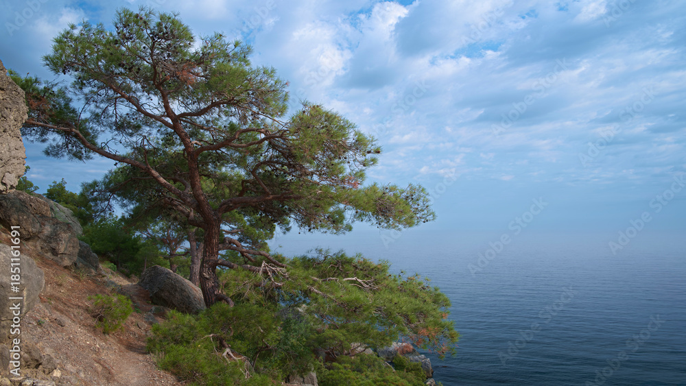Obraz premium Beautiful sunset seascape with pine trees on the rocky shore, Sunset sky over the sea horizon, sky with soft clouds, the sea is clear and calm, Crimea, South Coast