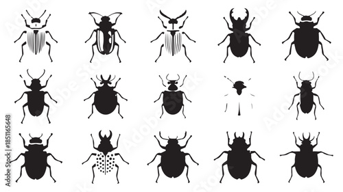 Beetle Silhouettes in Various Styles and Textures for Entomology Illustrations