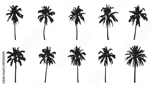 Palm Trees Silhouette Collection in Various Shapes and Sizes on White Background for Tropical Design