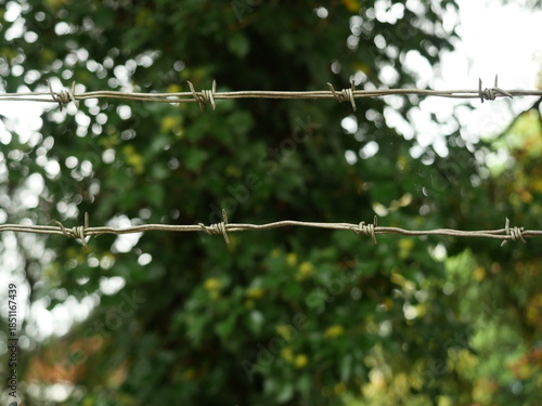 Sharp-focused barbed wire with traces of rust against blurred green background, symbol of boundary and barrier. Copyspace.