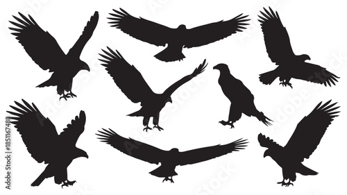 Flying Eagles Silhouette Set in Dramatic Black Silhouette on White Background for Wildlife Illustration