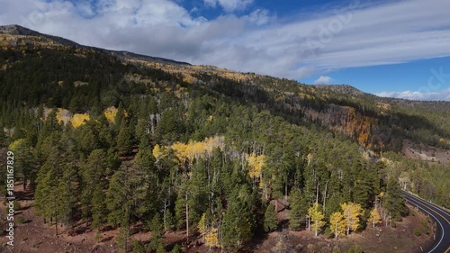 Road in Top of Mountain in fall season
