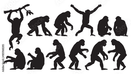 Evolution of Man Silhouettes in Dynamic Poses with Dramatic Lighting on White Background for Educational Use