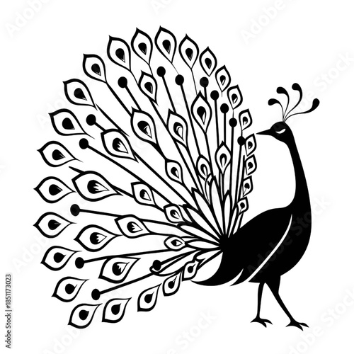 Majestic peacock displaying vibrant feathers in elegant stance