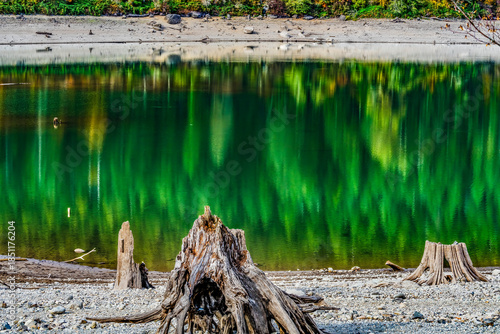 Colorful Tree Trunks Rattlesnake Lake Reflection Abstract North Bend Washington