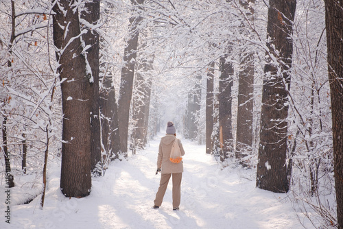 Winter walk in the snowy forest. A woman walks along a path among tall trees covered with snow. Peaceful atmosphere, fresh air, natural beauty, privacy. 