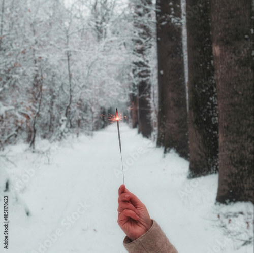Festive magic in the winter forest. A hand with a sparkler. Warm light on a cold day. A sense of wonder, holidays, snow, nature