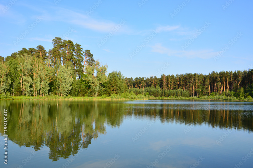 Obraz premium pine Forest Reflection in the pure lake Under a Clear Blue Sky