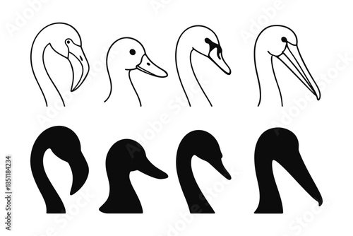 Silhouette and outline bird head profiles: swan, duck, flamingo, and pelican collection