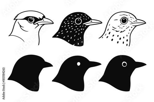 Bird head silhouettes and outlines: avian profiles in black and white