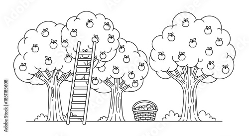 Apple orchard harvest with ladder and basket in black and white linear art
