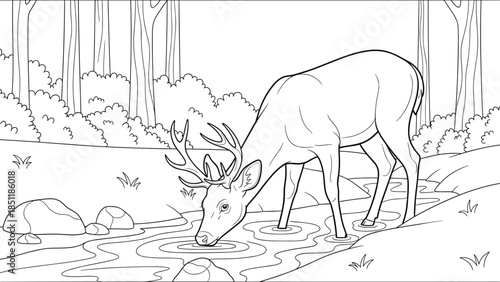 Graceful deer drinking water in tranquil forest line art scene